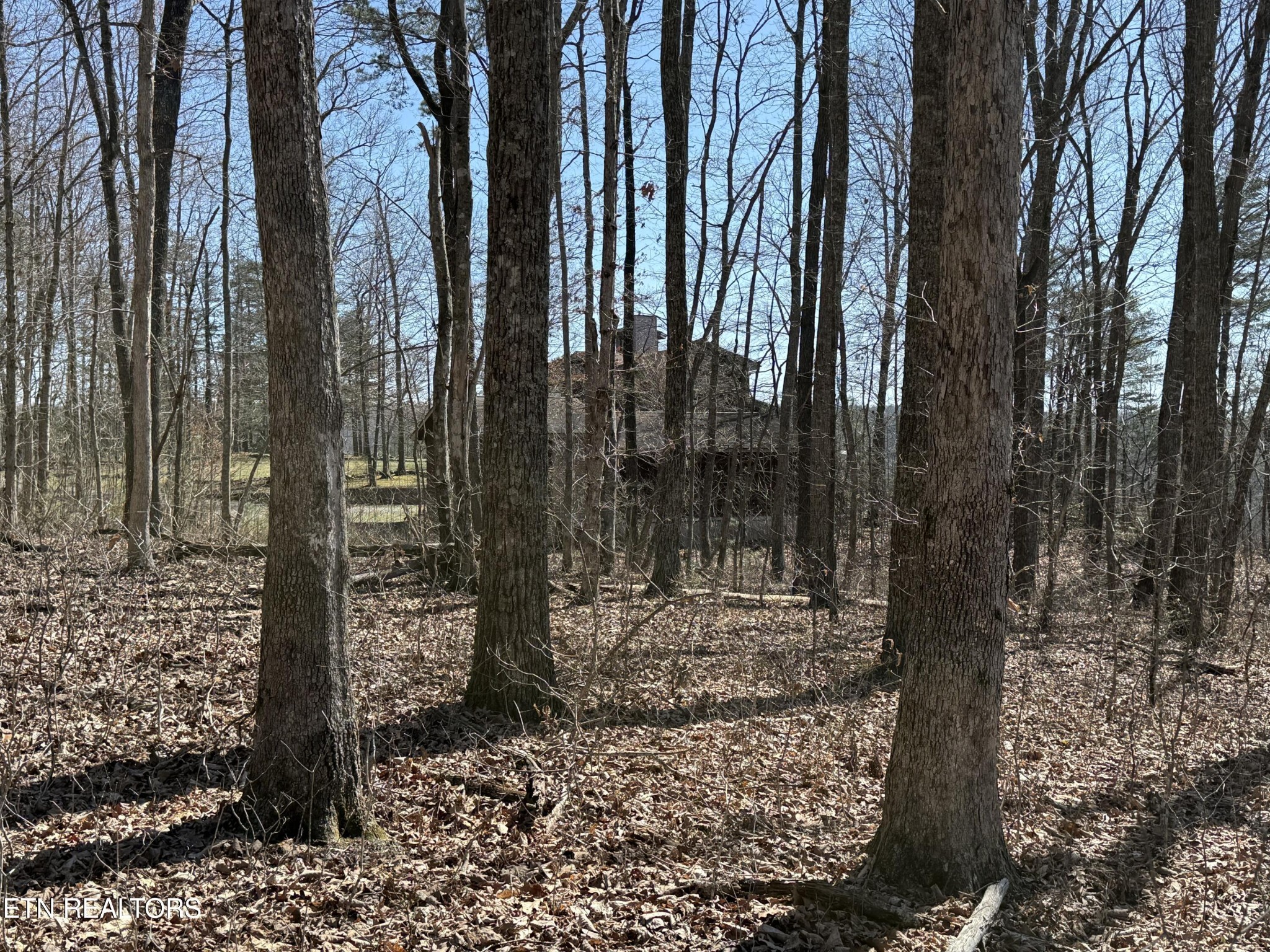 0 Cumberland Cove Road Monterey TN 38574