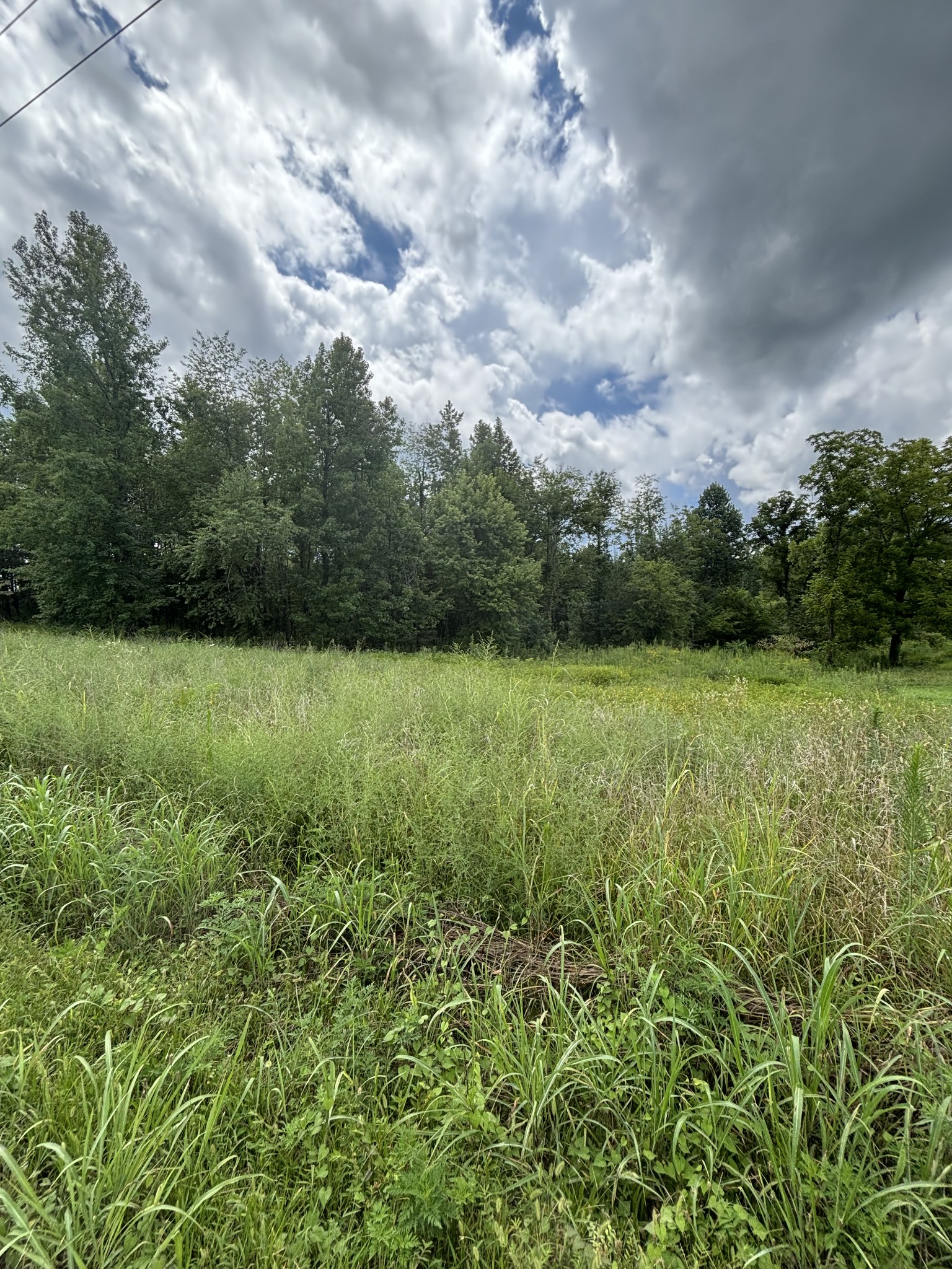 0 Fredonia Road Manchester TN 37355