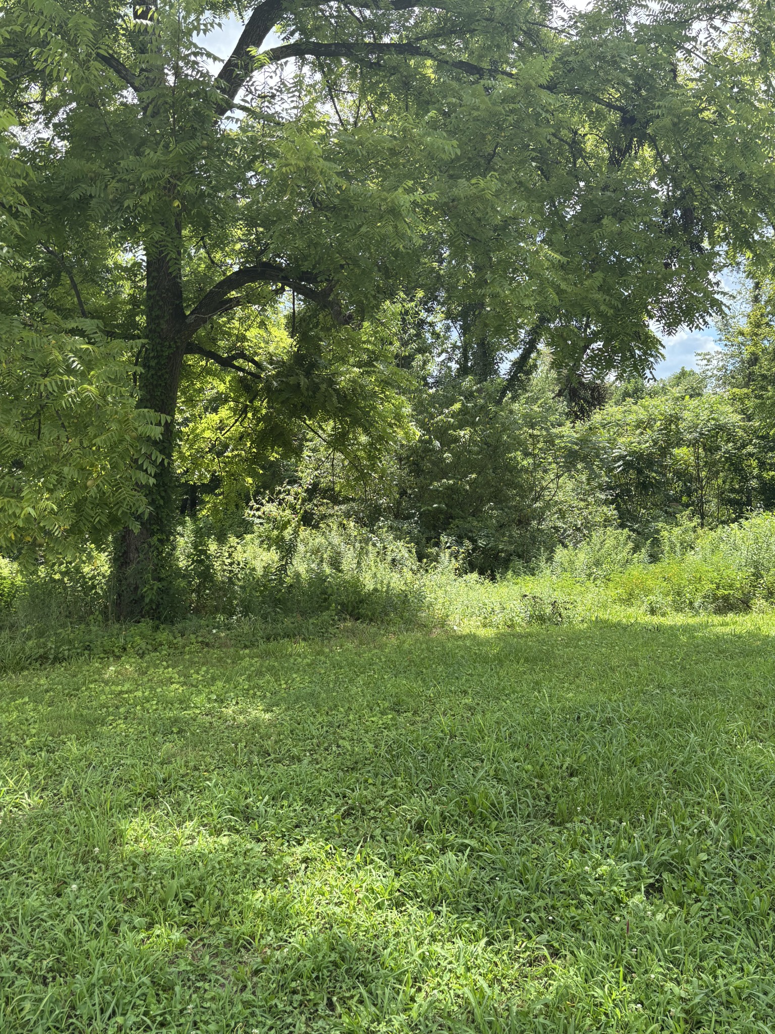 0 Fredonia Road Manchester TN 37355