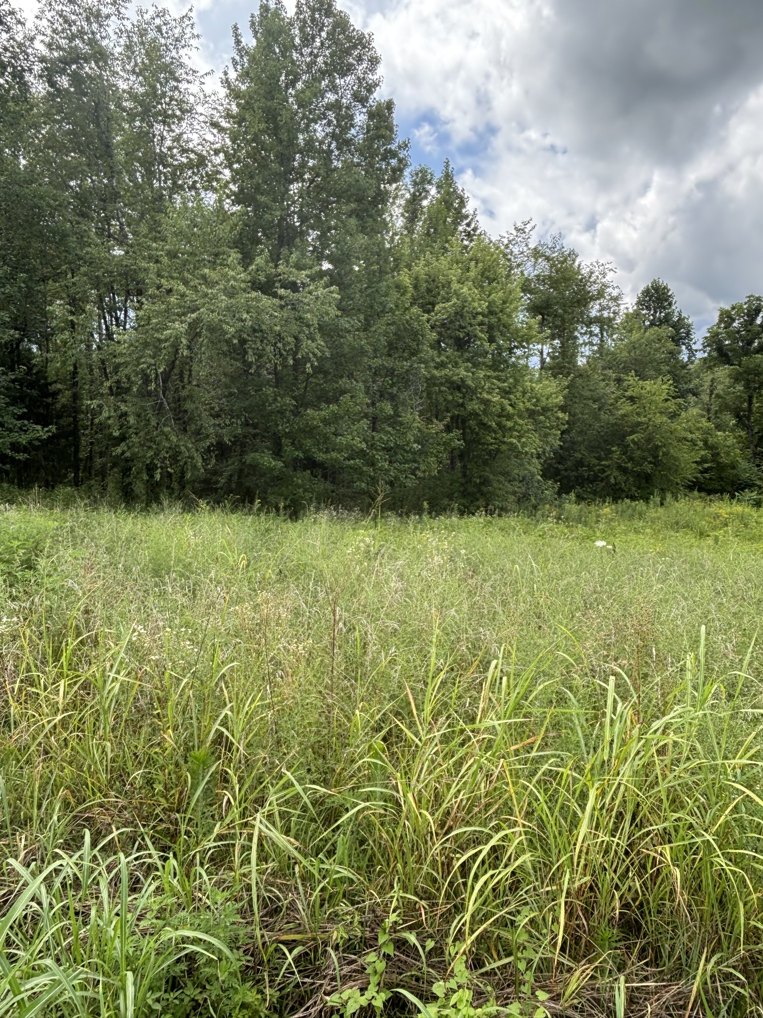 0 Fredonia Road Manchester TN 37355