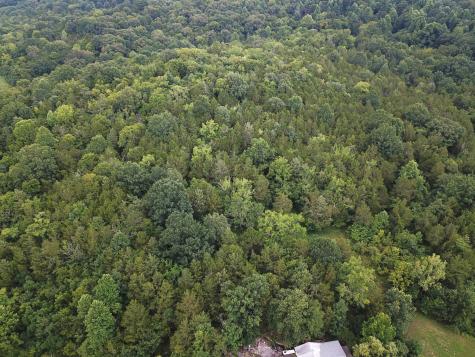 0 Norton Branch Road Beechgrove TN 37018