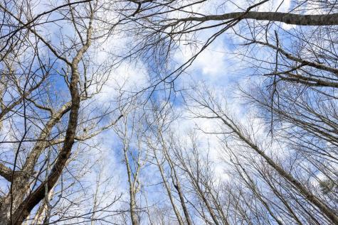 1920 Raulston Falls Road Jasper TN 37347