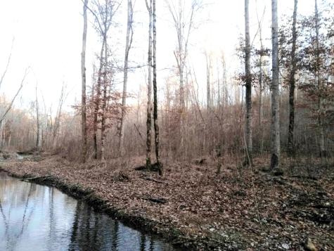 0 Deer Ridge Waynesboro TN 38485