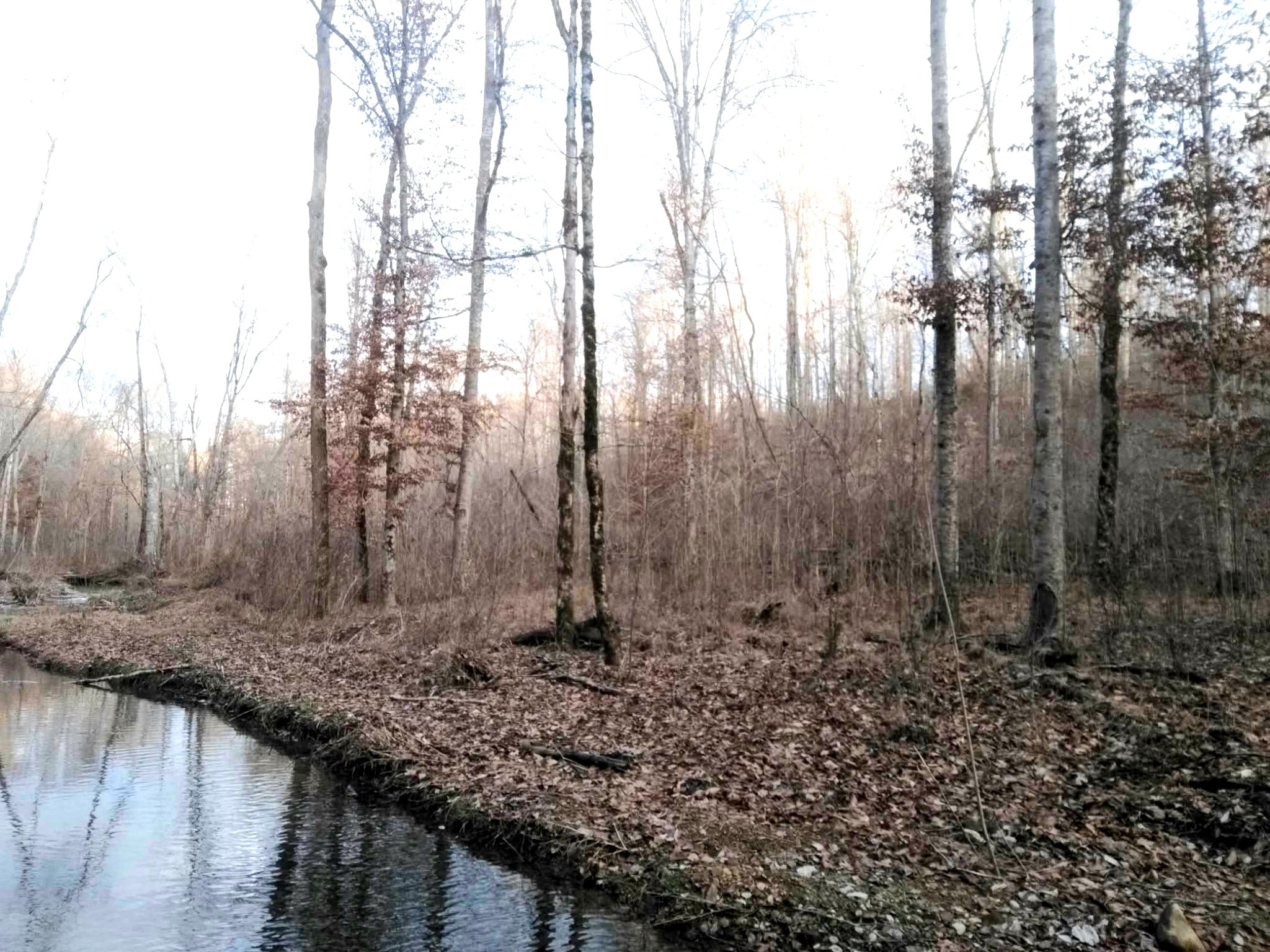 0 Deer Ridge Waynesboro TN 38485