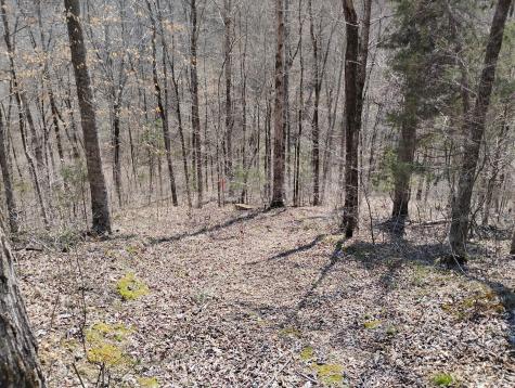 0 Deer Ridge Waynesboro TN 38485