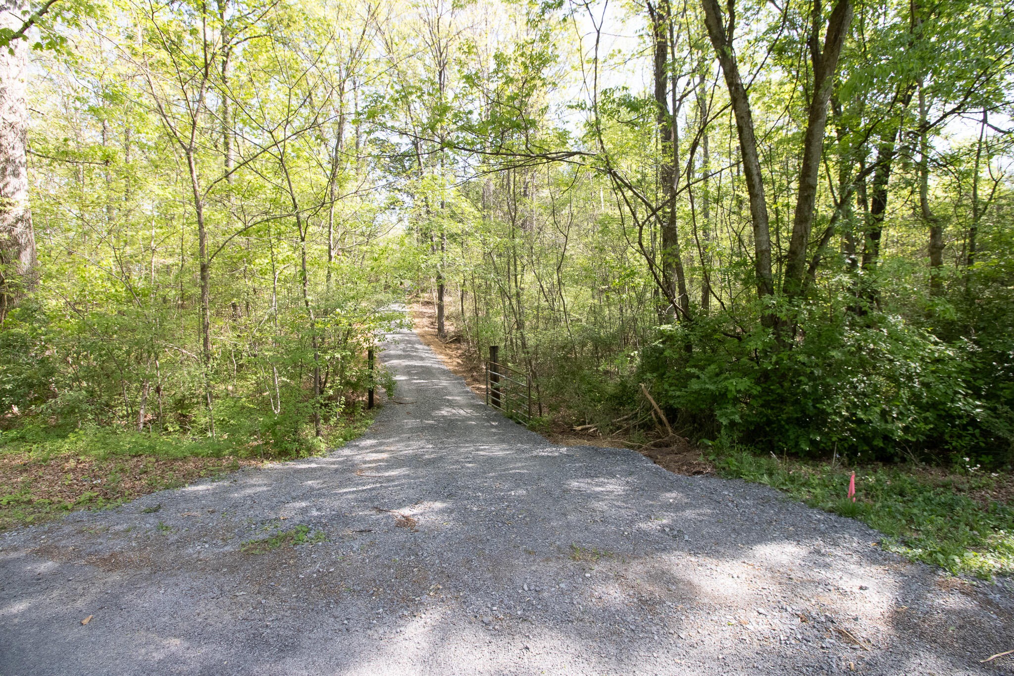 0 County Road 860 Delano TN 37325