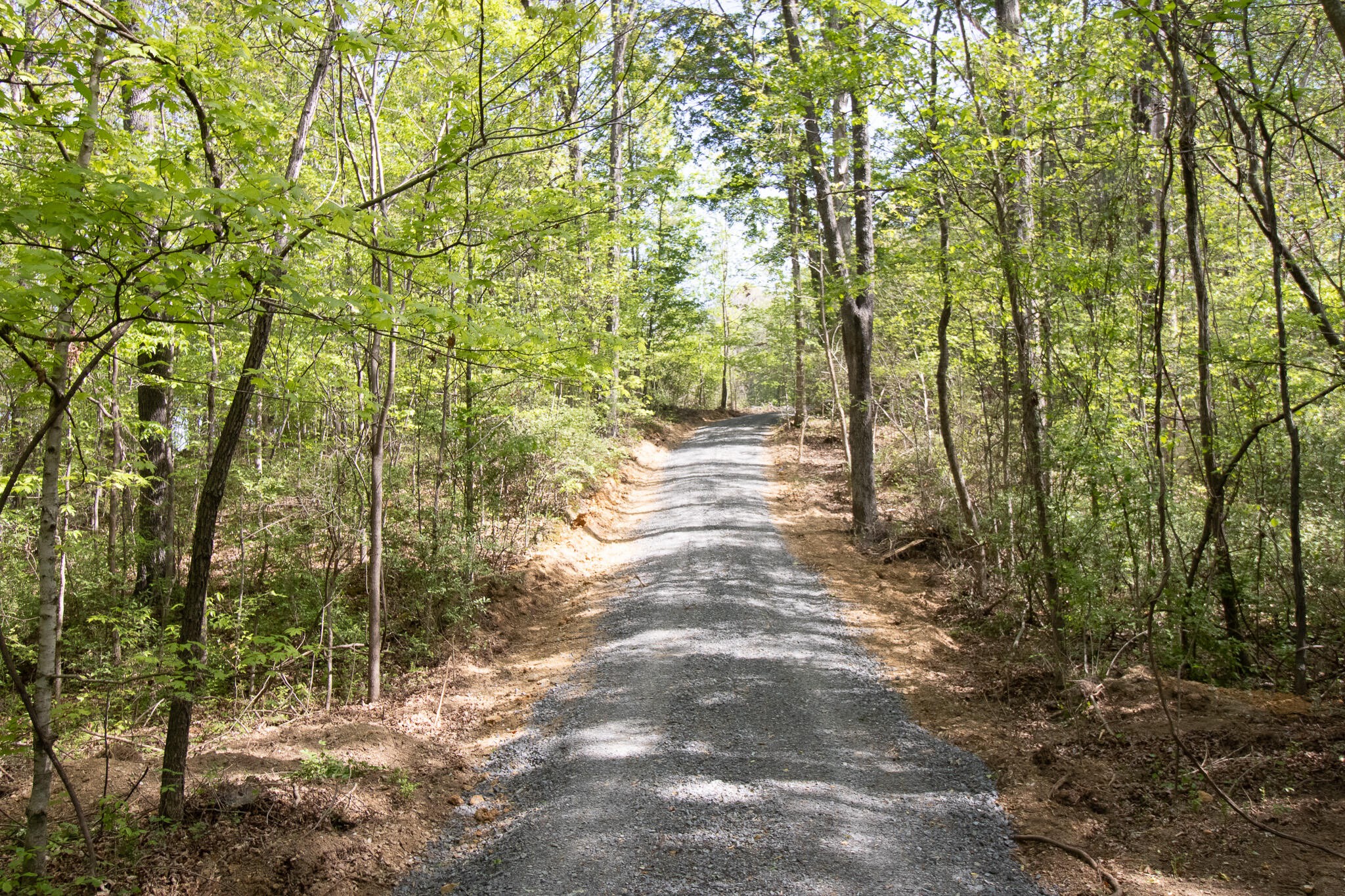 0 County Road 860 Delano TN 37325