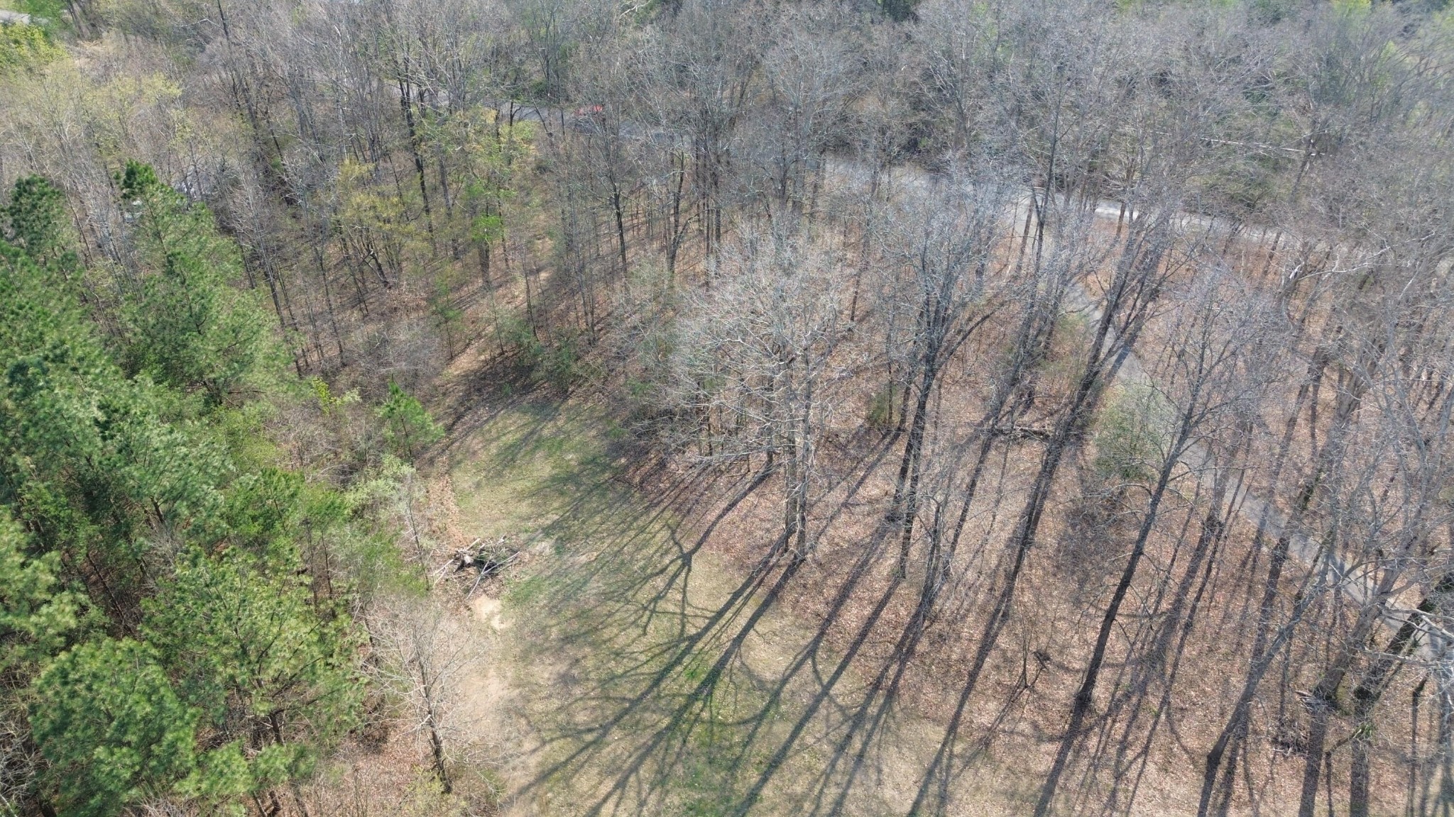 0 County Road 860 Delano TN 37325