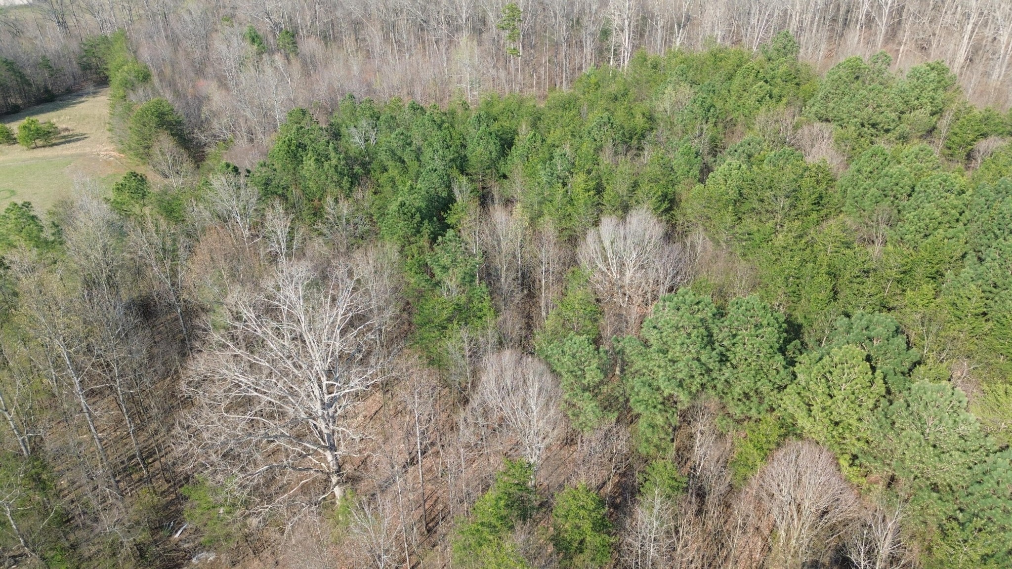 0 County Road 860 Delano TN 37325
