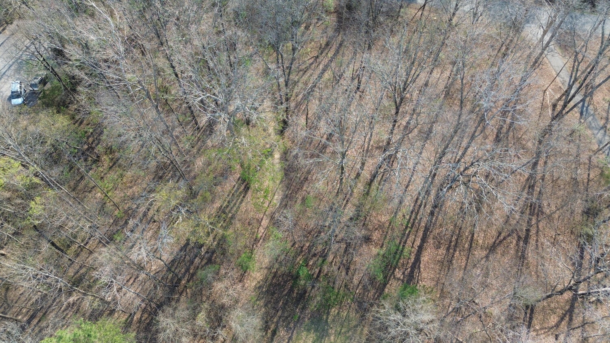 0 County Road 860 Delano TN 37325