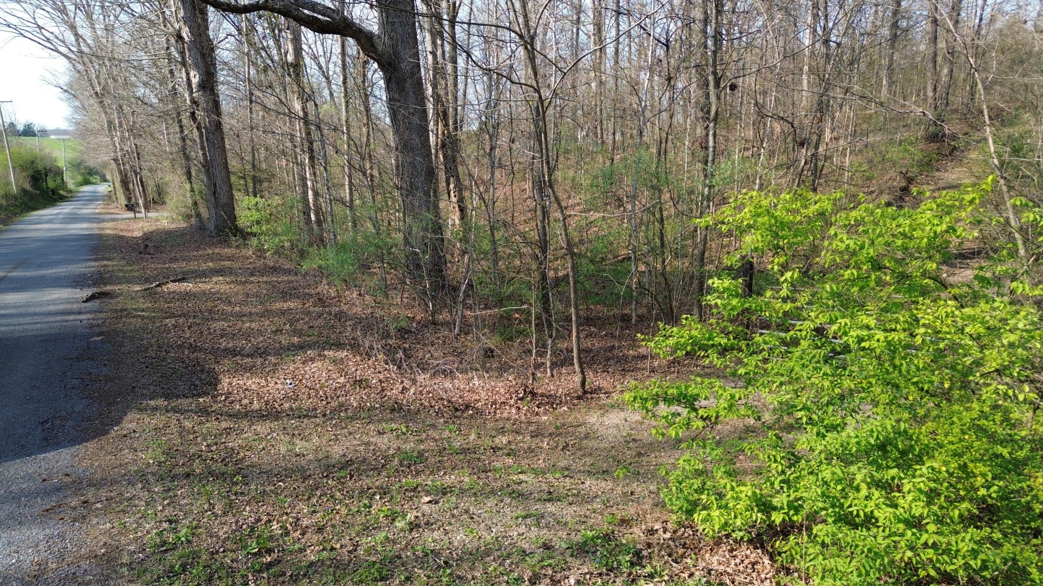 0 County Road 860 Delano TN 37325