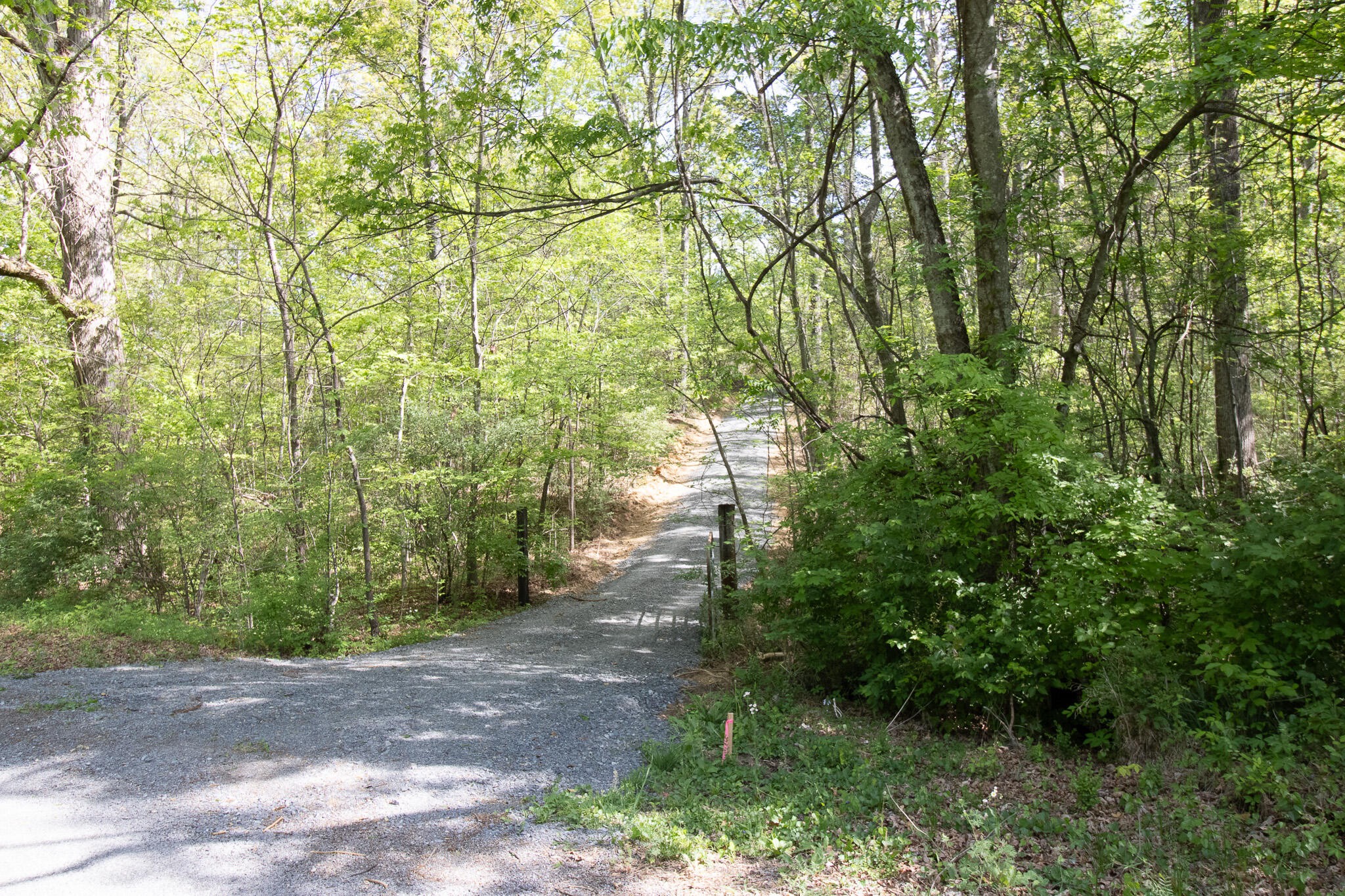 0 County Road 860 Delano TN 37325