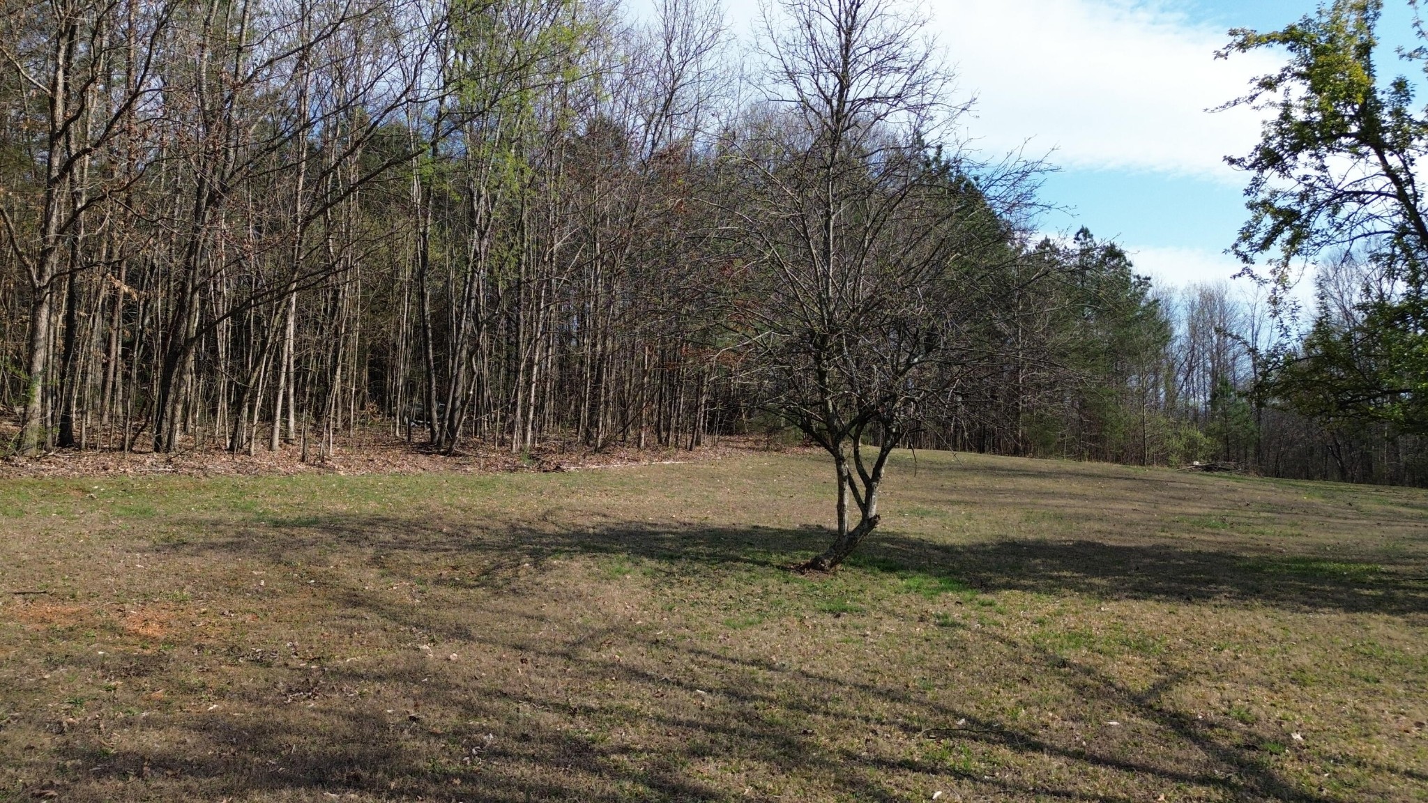 0 County Road 860 Delano TN 37325