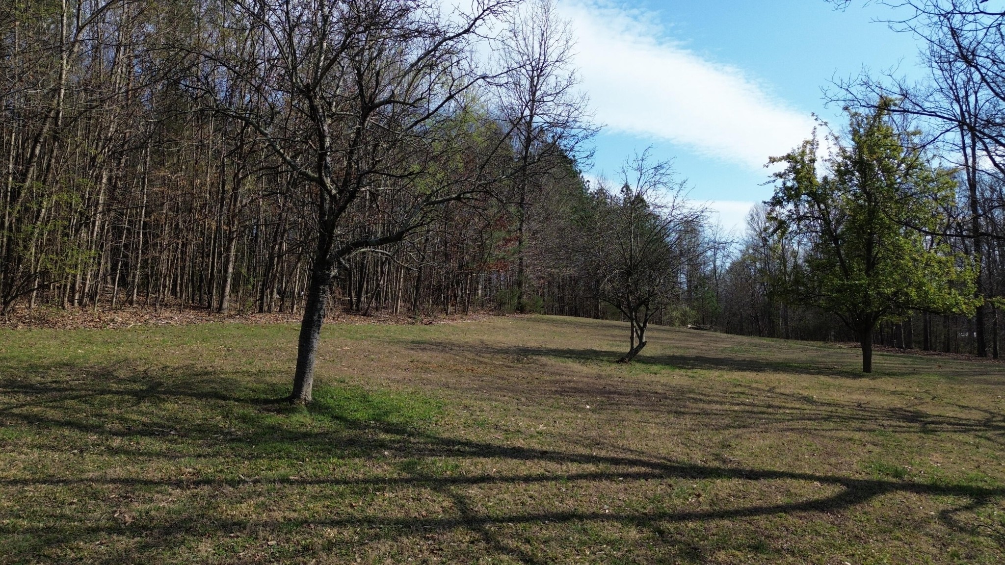 0 County Road 860 Delano TN 37325