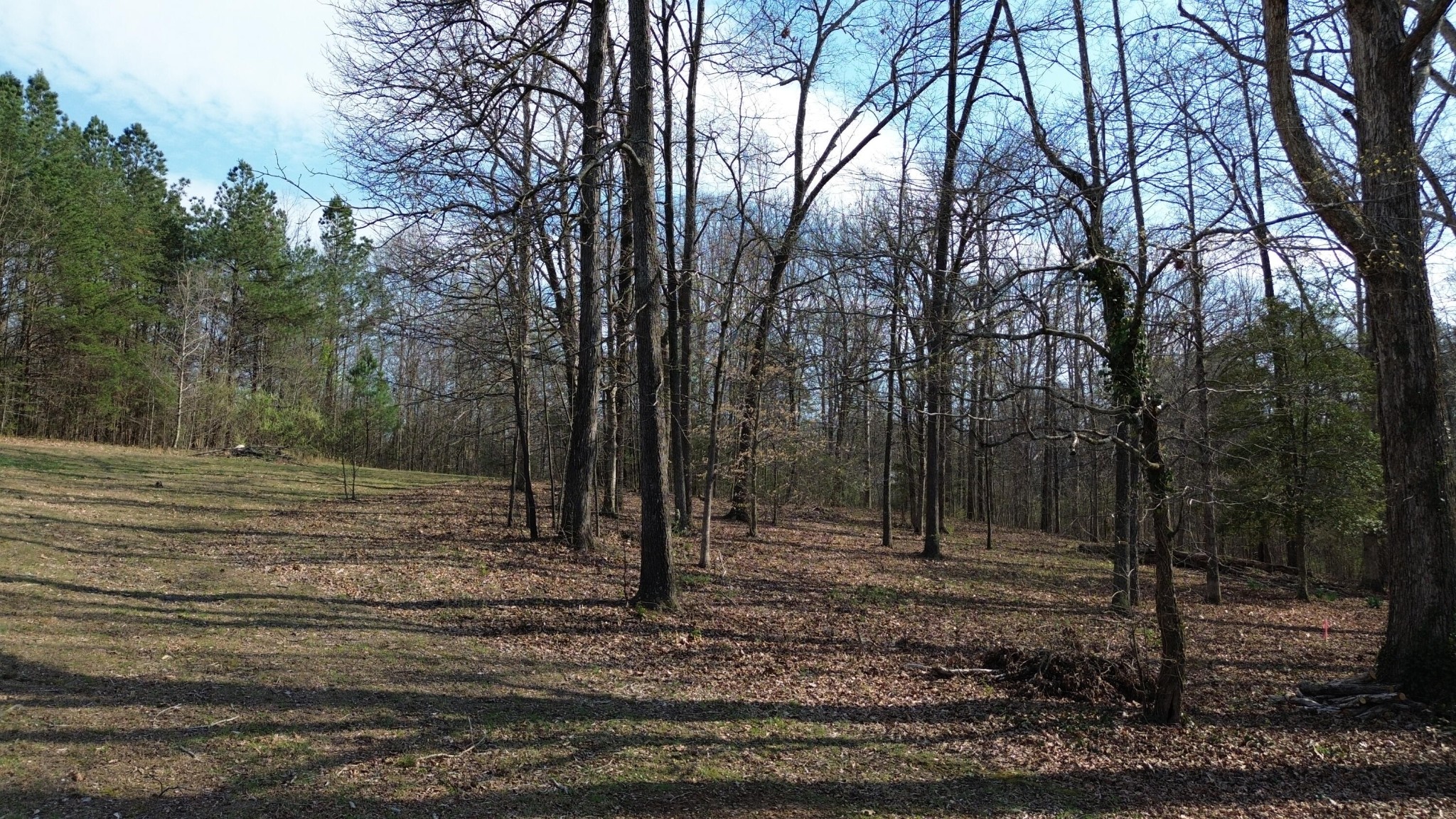 0 County Road 860 Delano TN 37325