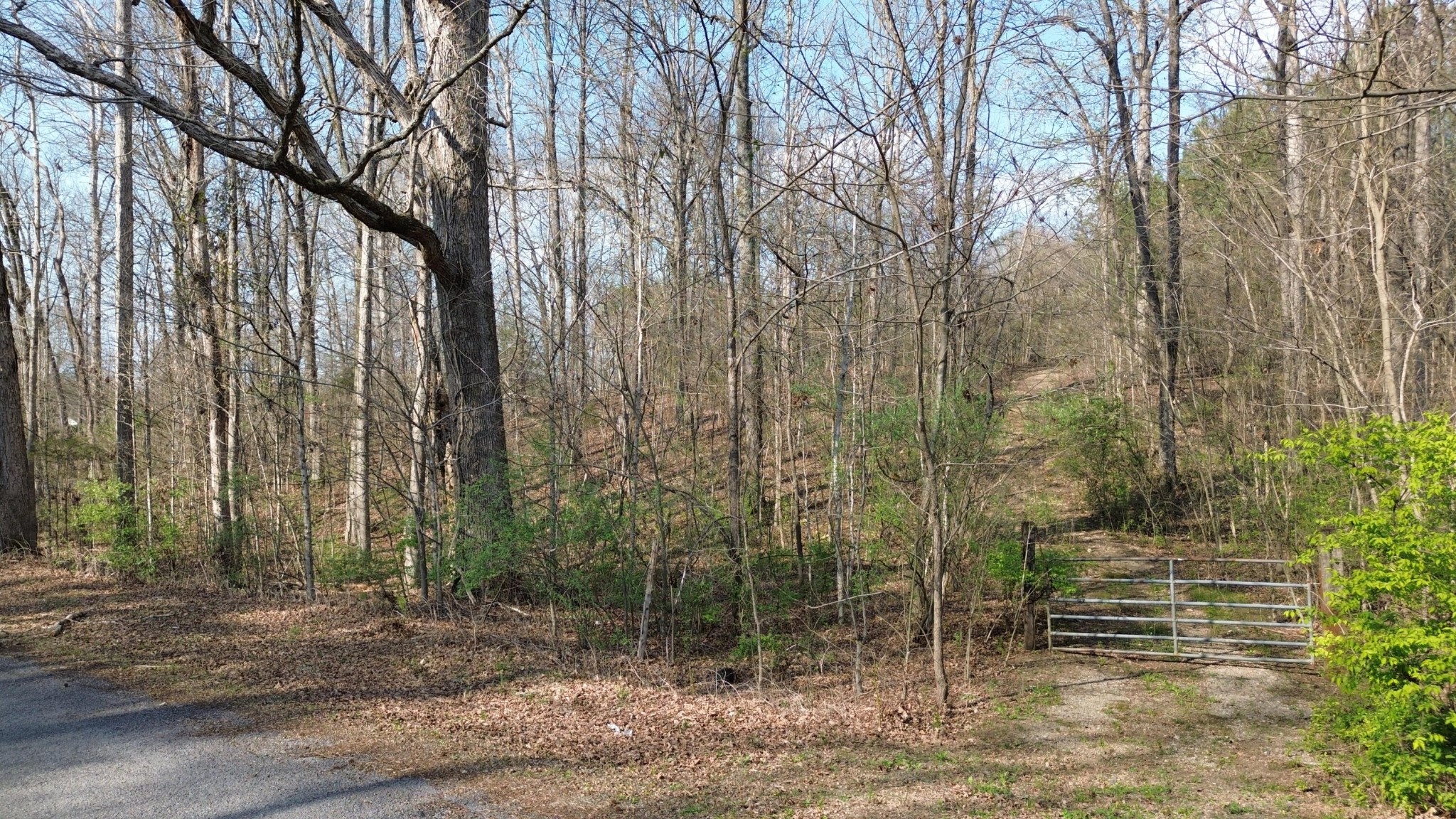 0 County Road 860 Delano TN 37325