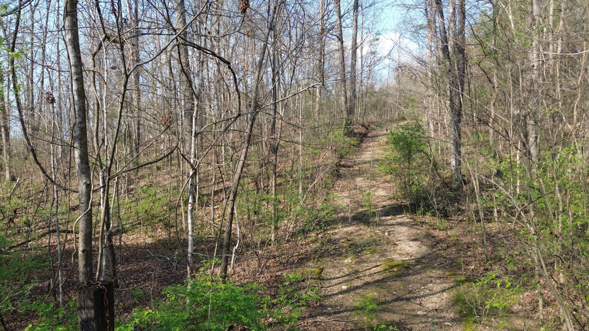 0 County Road 860 Delano TN 37325