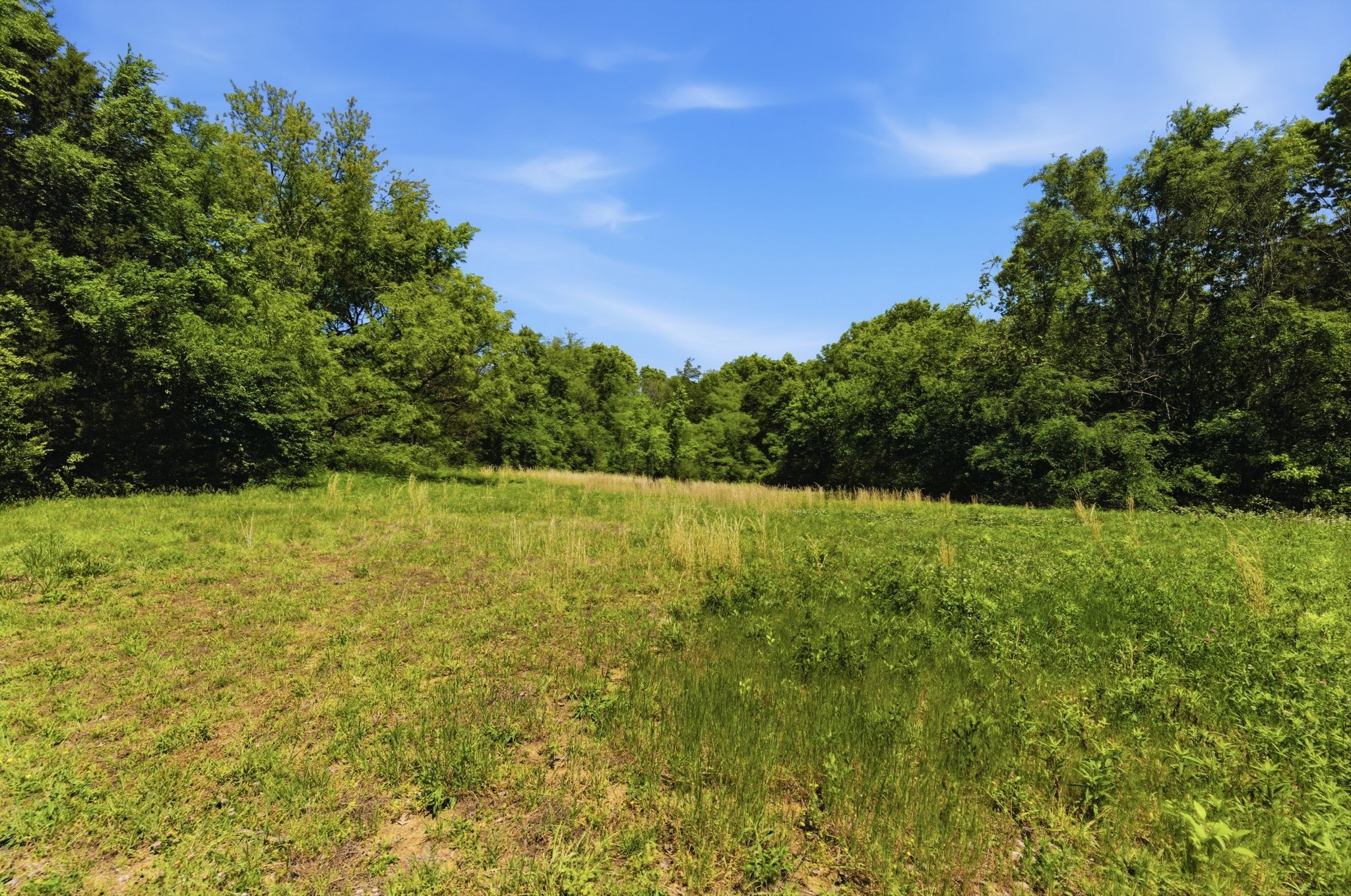 6010 Cane Ridge Road Antioch TN 37013