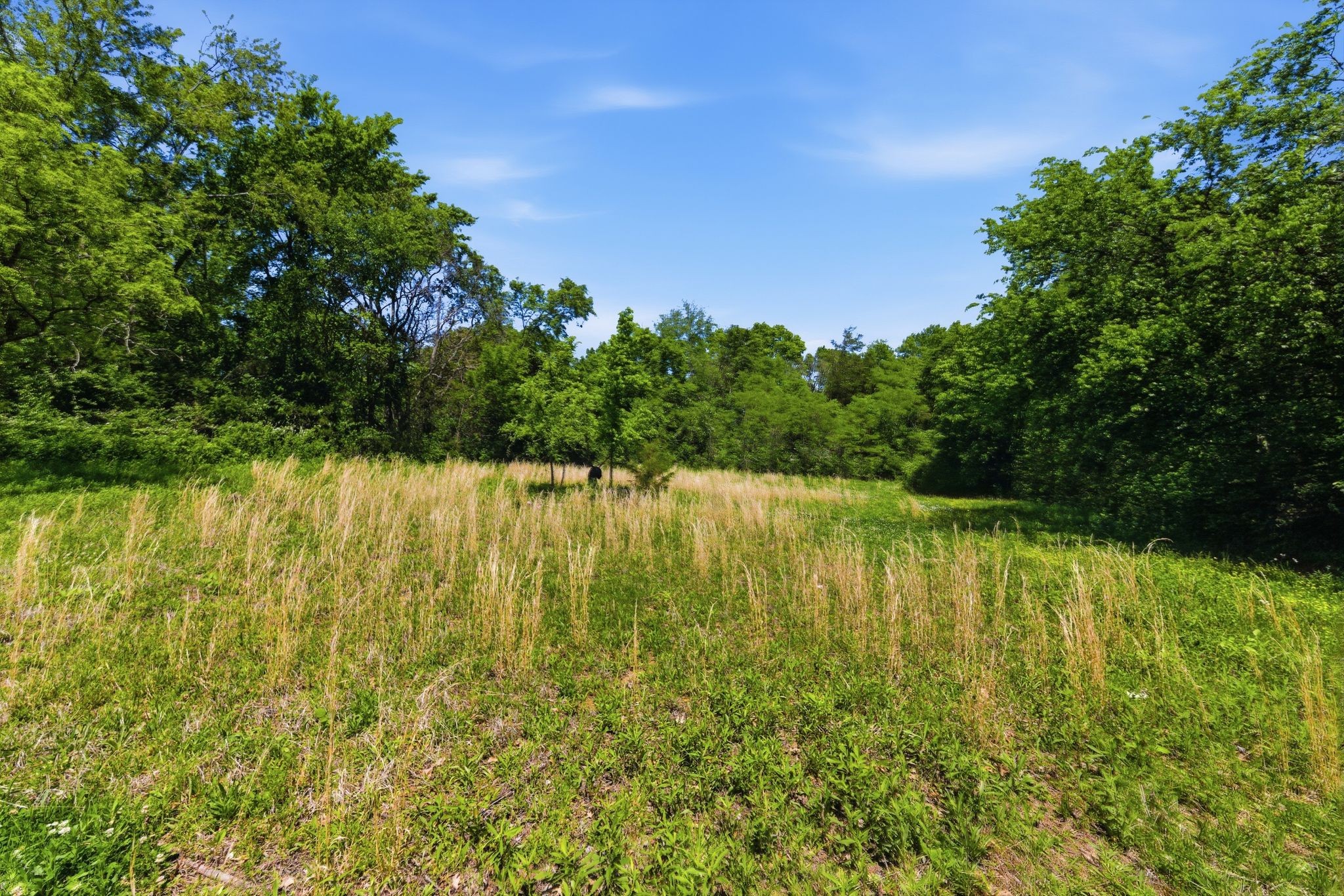 6010 Cane Ridge Road Antioch TN 37013