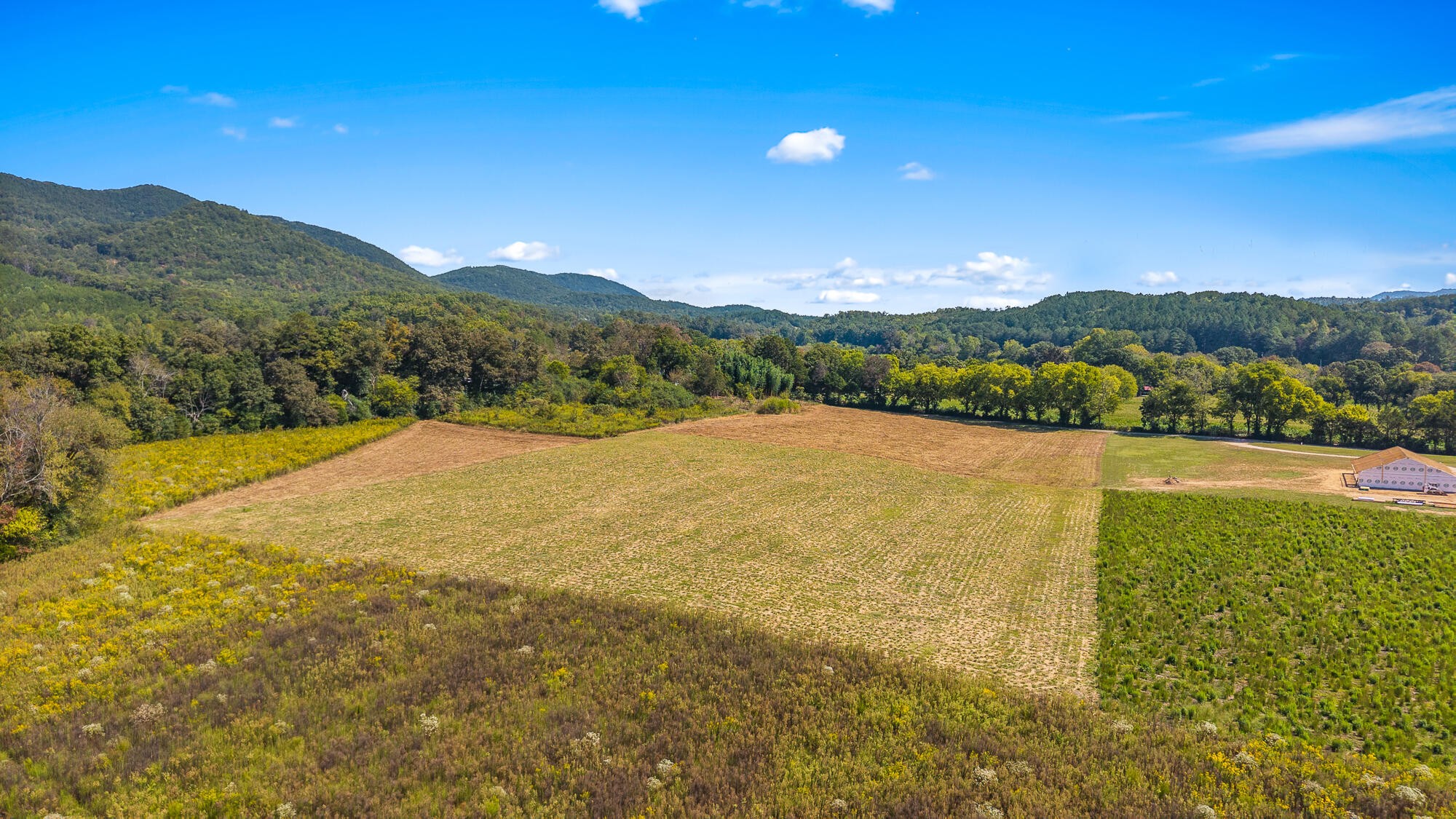 0 Tree Top Lane Tellico Plains TN 37385