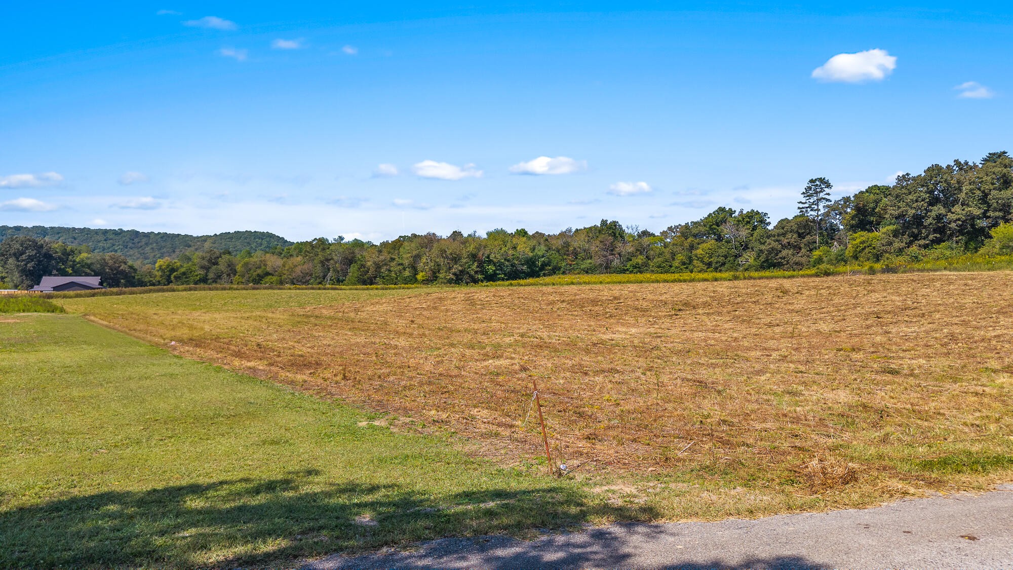 0 Tree Top Lane Tellico Plains TN 37385