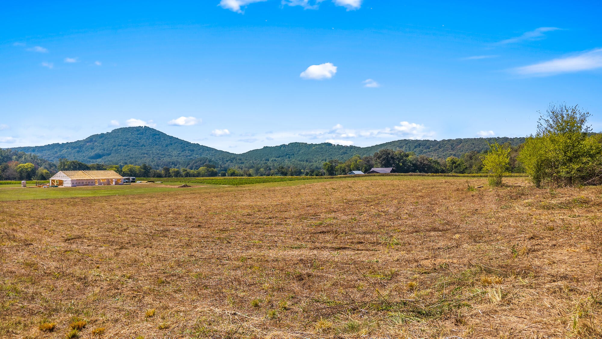 0 Tree Top Lane Tellico Plains TN 37385