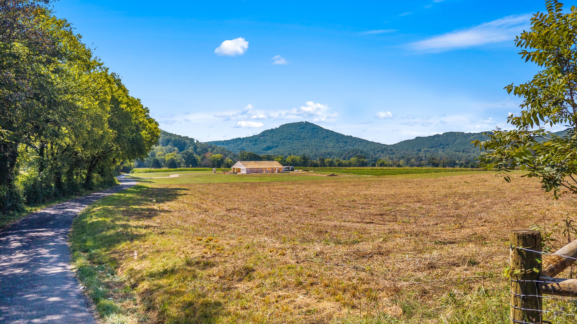 0 Tree Top Lane Tellico Plains TN 37385
