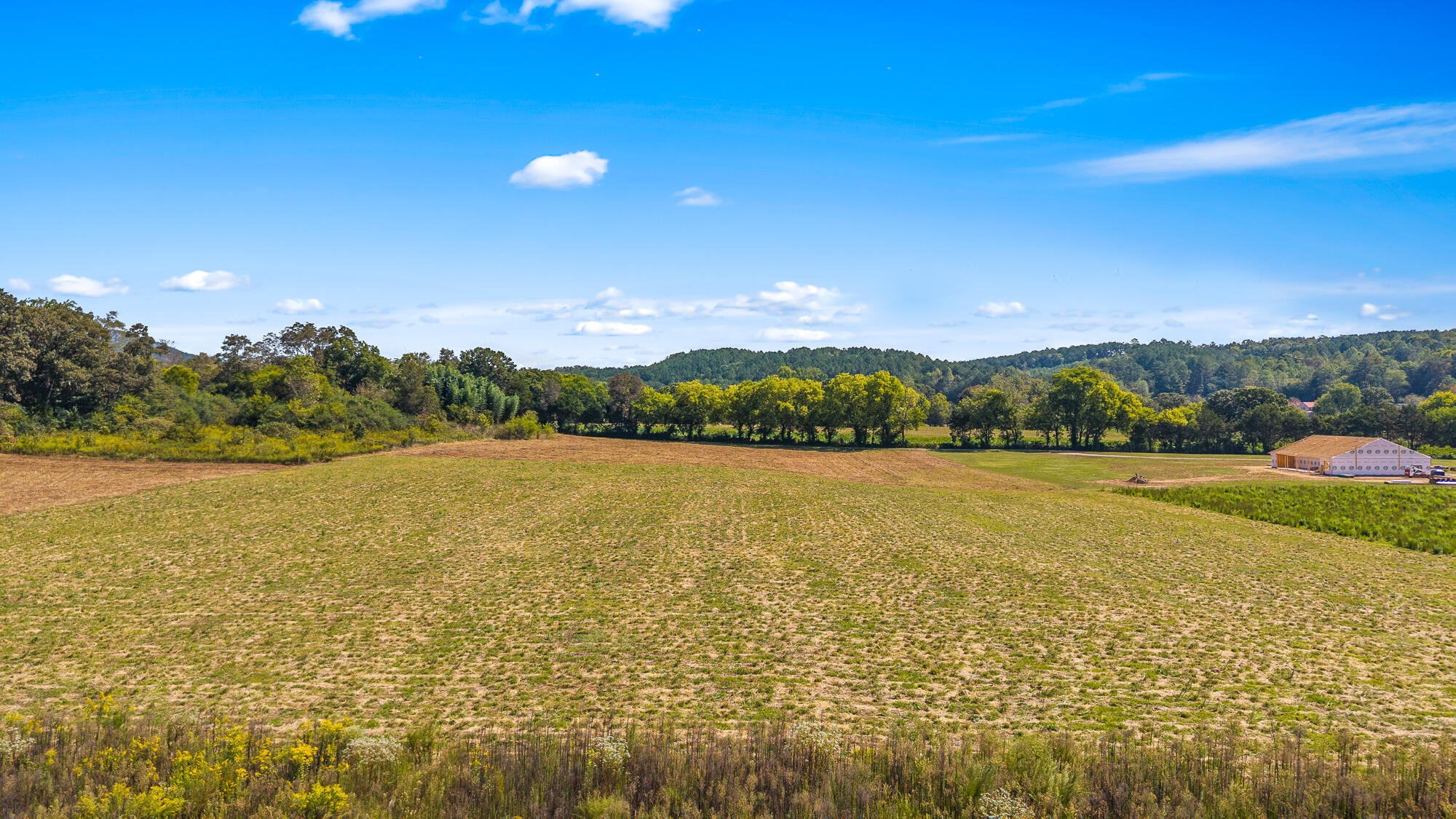 0 Tree Top Lane Tellico Plains TN 37385