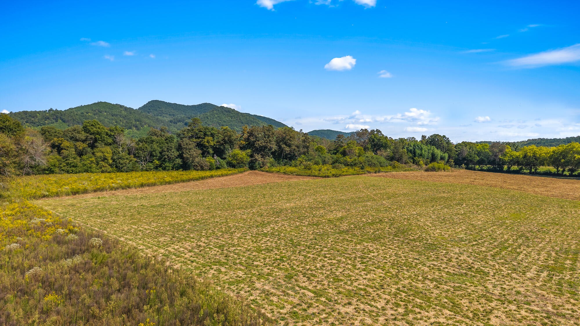 0 Tree Top Lane Tellico Plains TN 37385