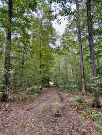 75 Joe Witty Road Morrison TN 37357
