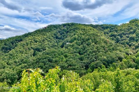 2743 Overholt Trail Sevierville TN 37876