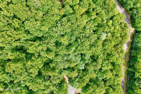 2743 Overholt Trail Sevierville TN 37876