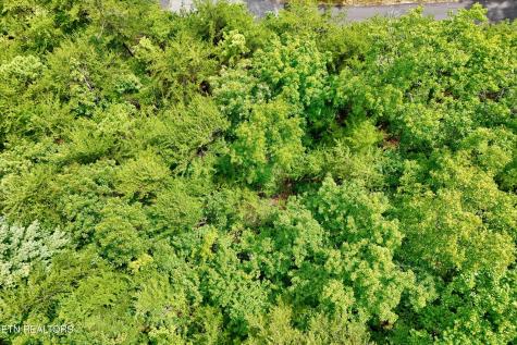 2743 Overholt Trail Sevierville TN 37876
