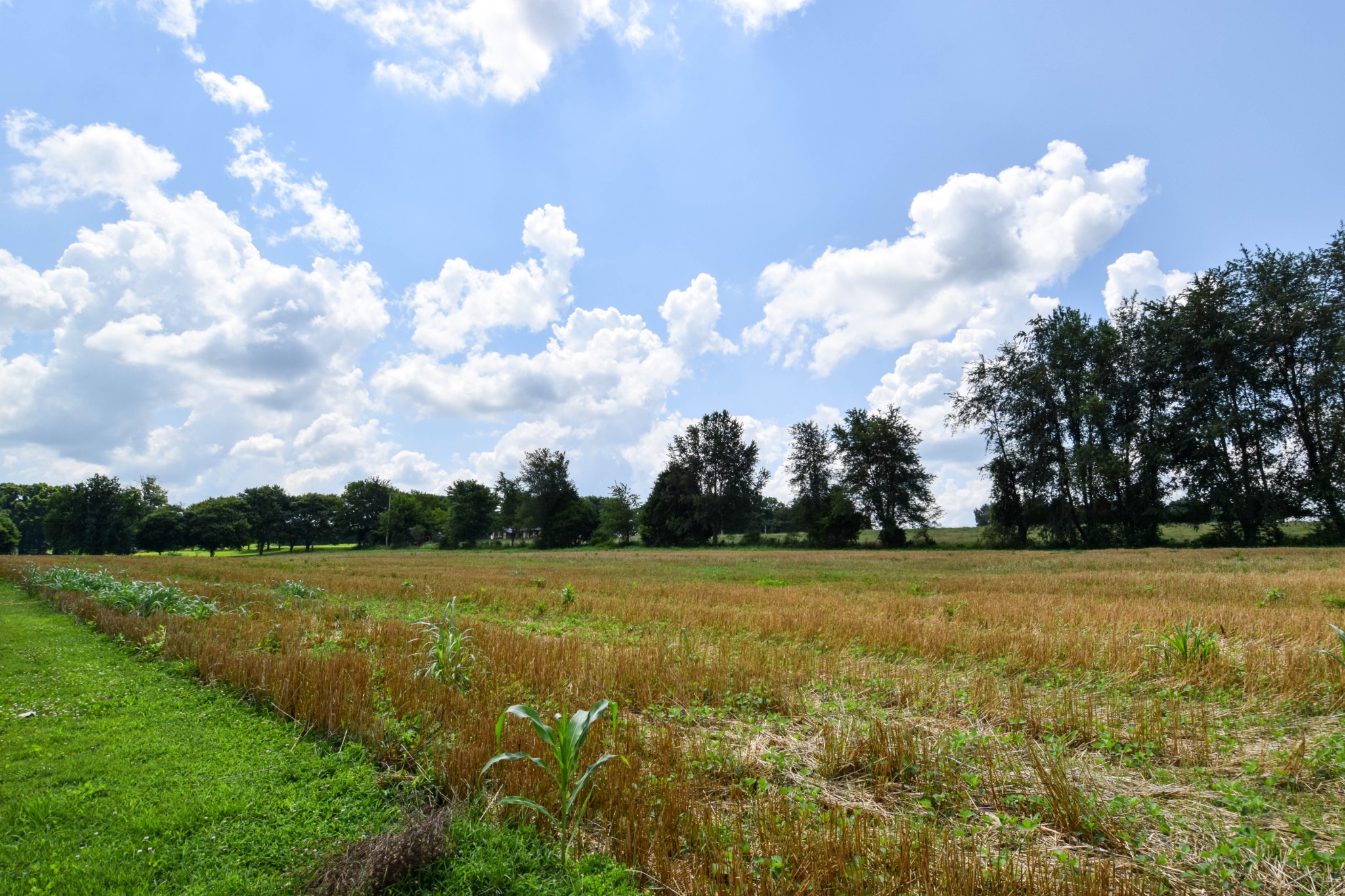 135 Old Highway 52w Portland TN 37148