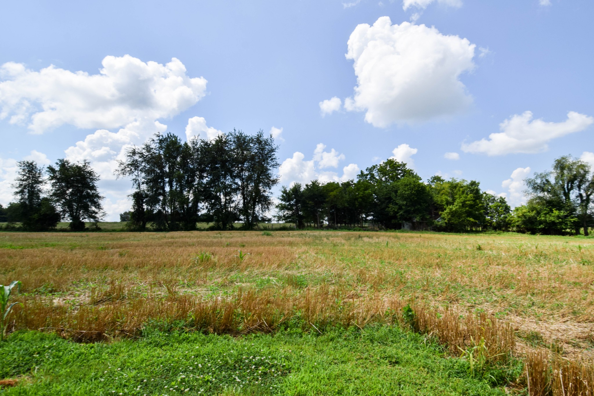 135 Old Highway 52w Portland TN 37148
