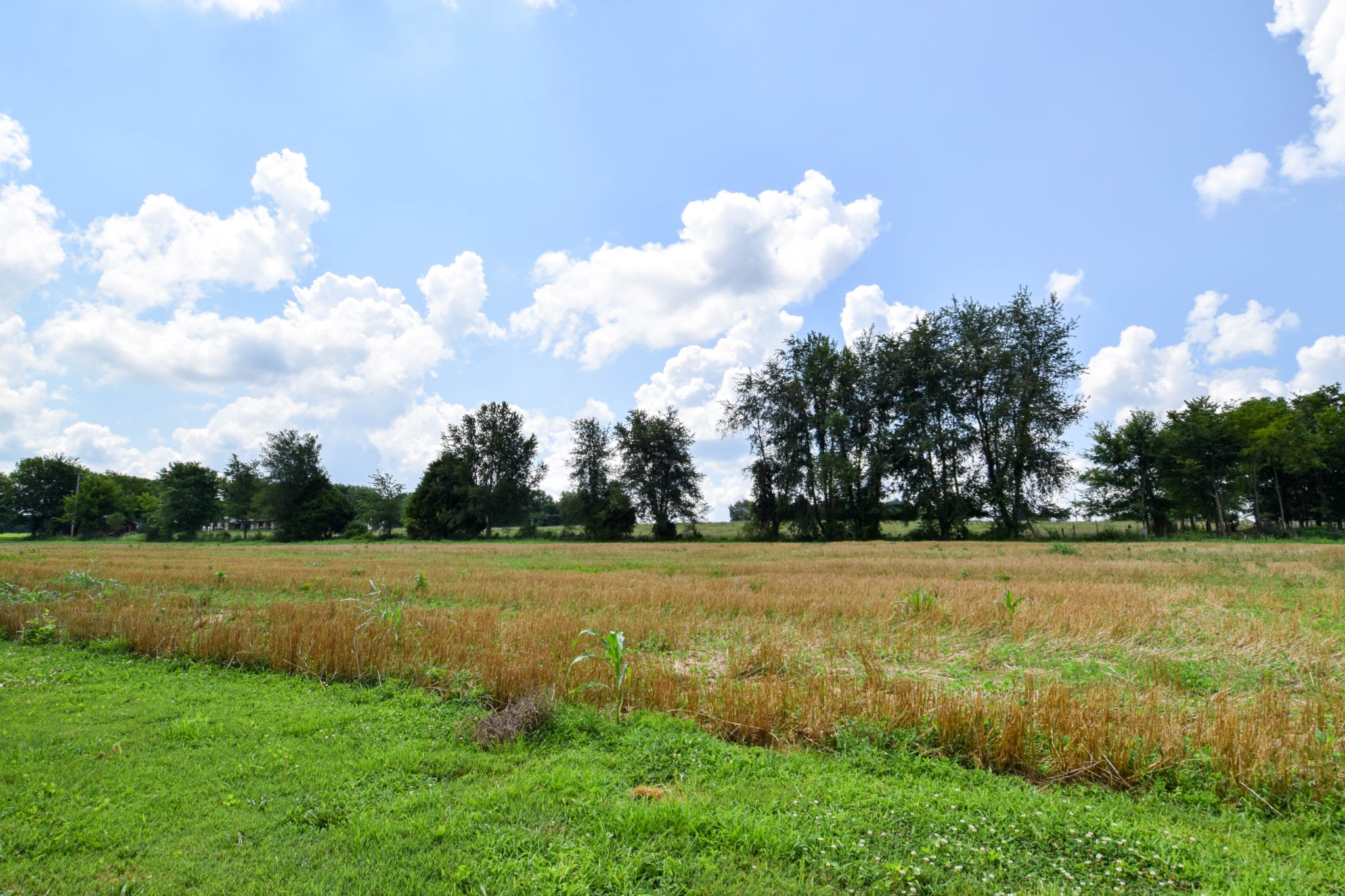 135 Old Highway 52w Portland TN 37148