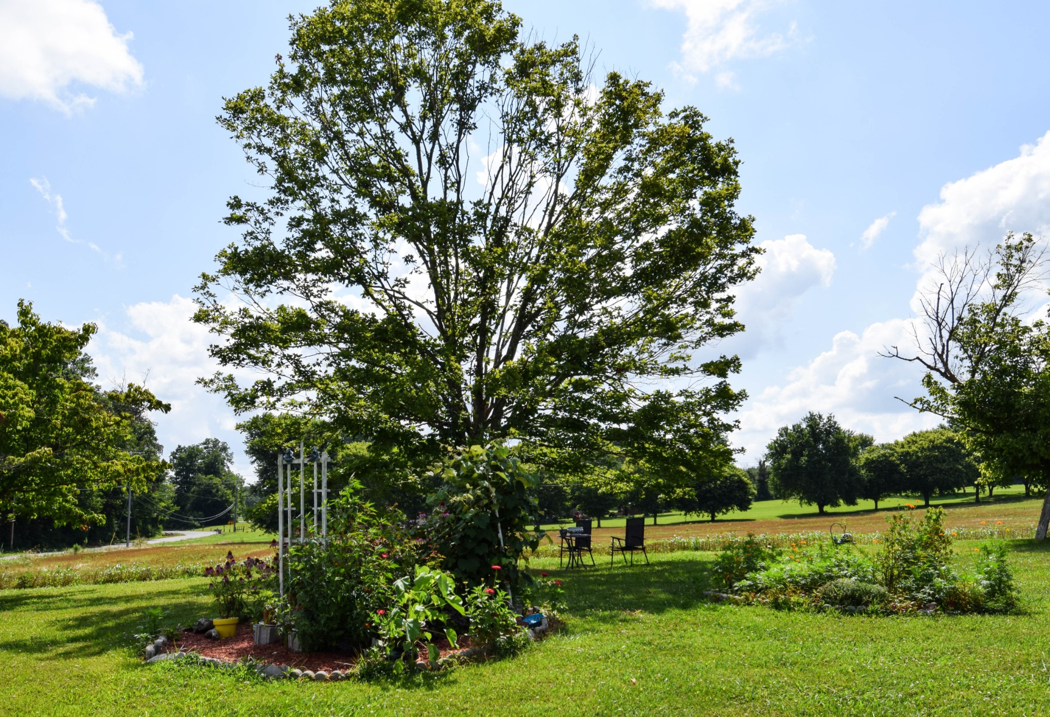 135 Old Highway 52w Portland TN 37148