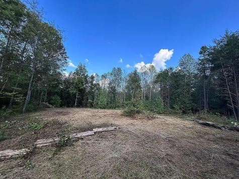 9100 Urubamba Drive Lyles TN 37098