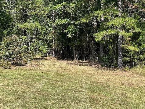 9100 Urubamba Drive Lyles TN 37098