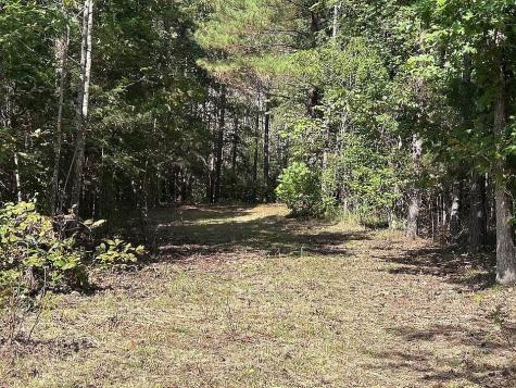 9100 Urubamba Drive Lyles TN 37098