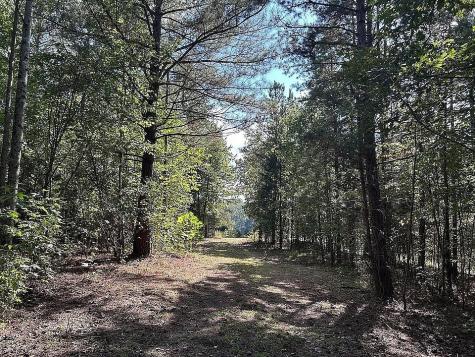 9100 Urubamba Drive Lyles TN 37098