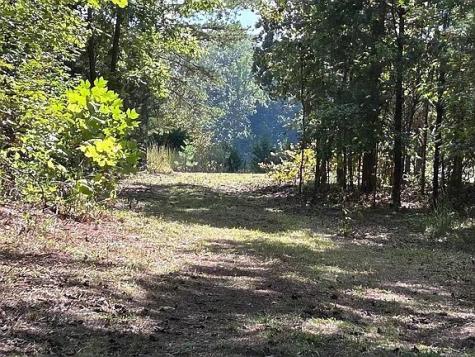 9100 Urubamba Drive Lyles TN 37098