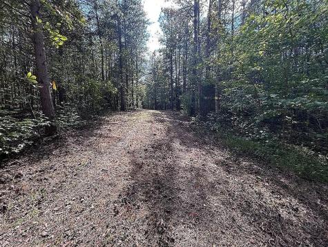 9100 Urubamba Drive Lyles TN 37098
