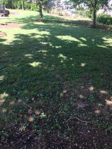 2147 18th Ave, N Nashville TN 37208