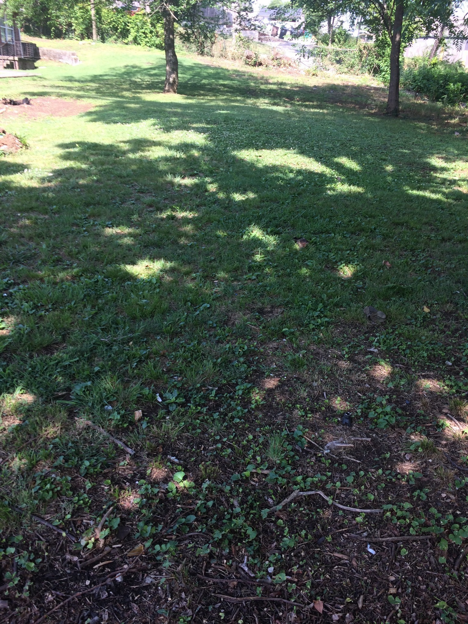 2147 18th Ave, N Nashville TN 37208