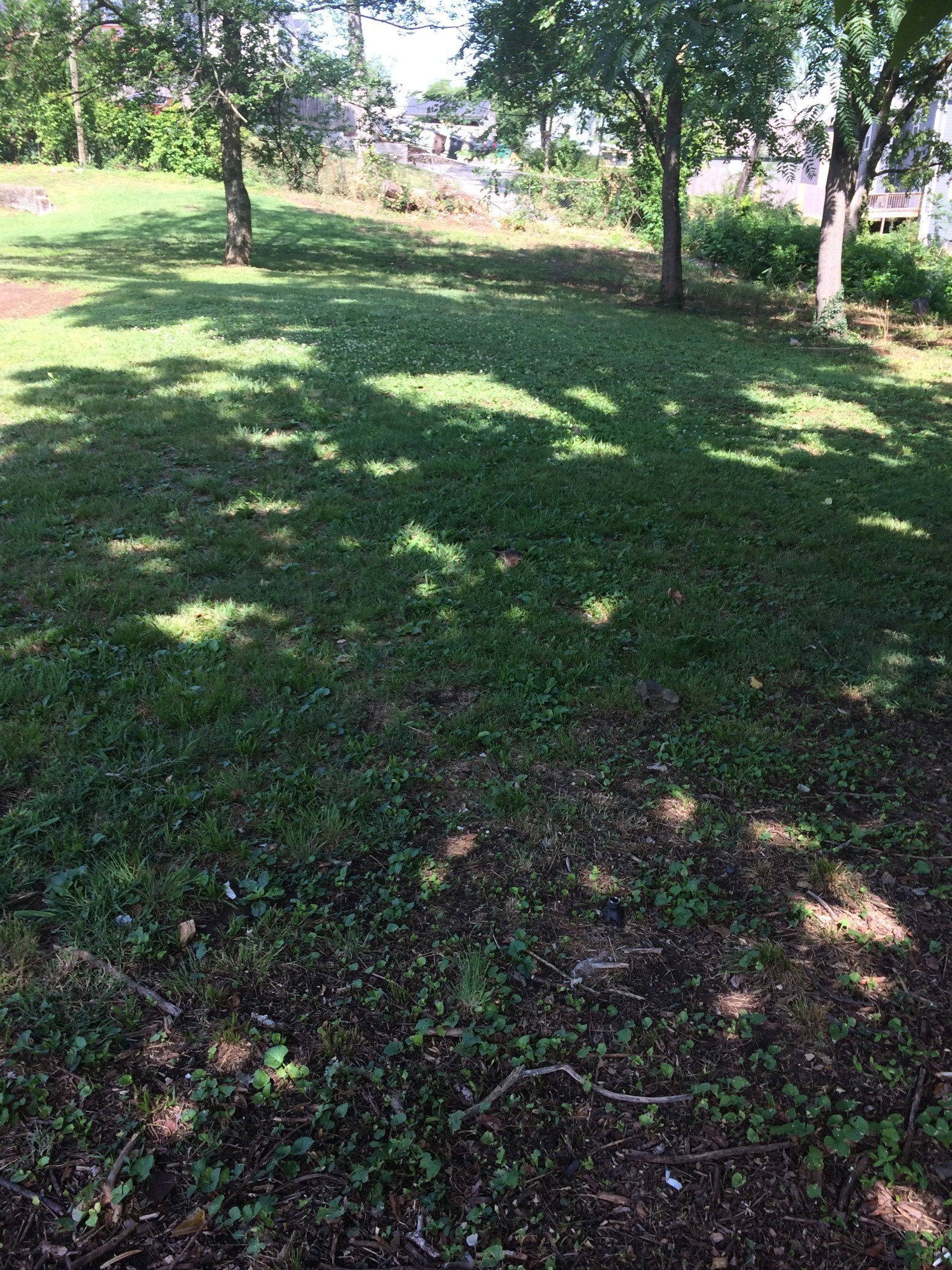 2147 18th Ave, N Nashville TN 37208