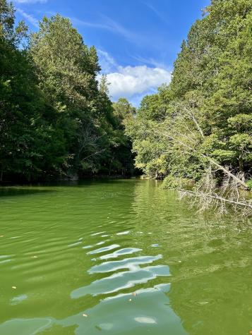 190 Jd Lane Lynchburg TN 37352