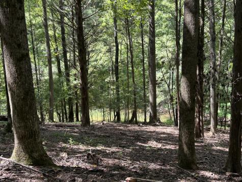 190 Jd Lane Lynchburg TN 37352