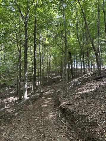 190 Jd Lane Lynchburg TN 37352