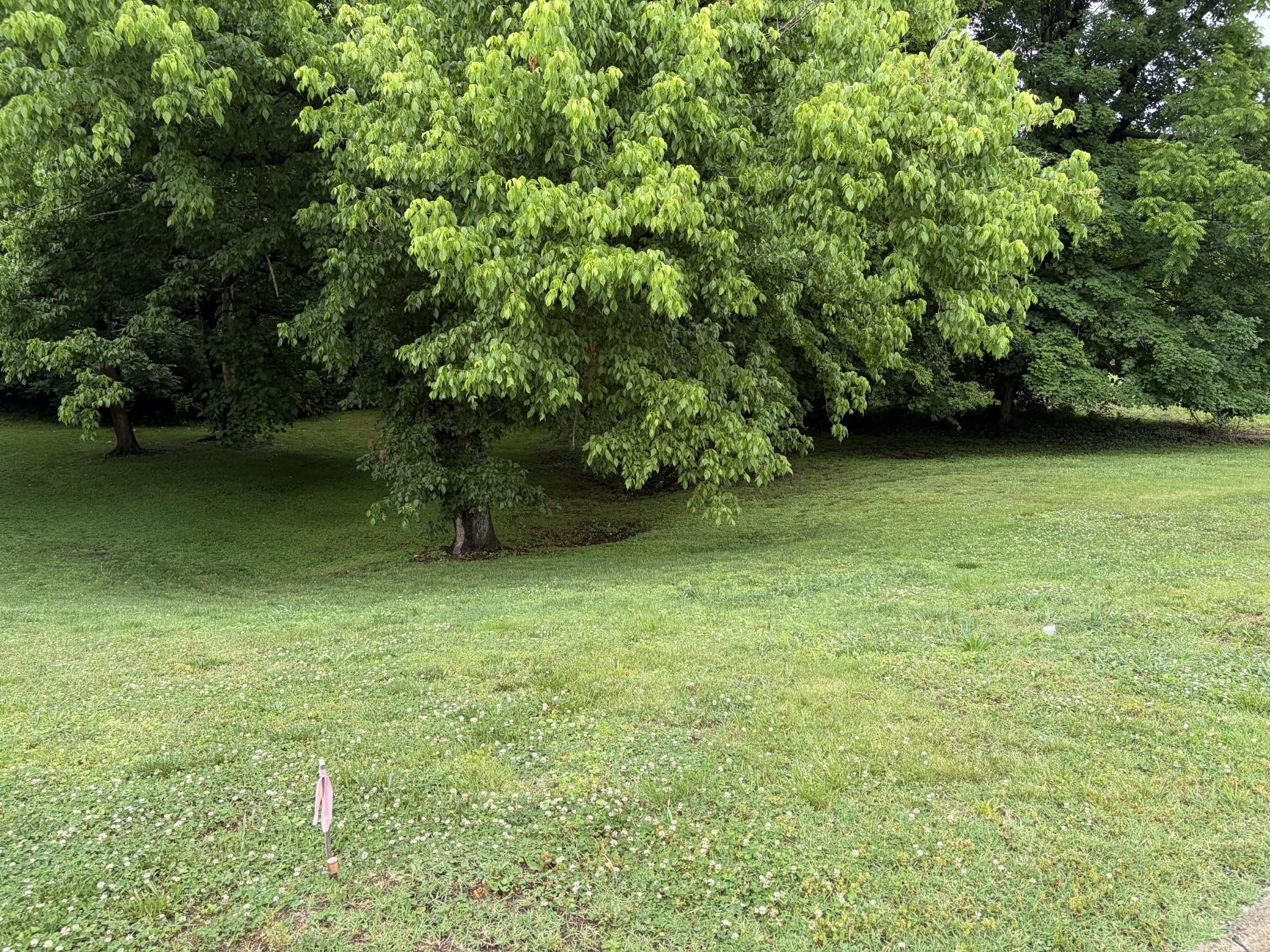 544 Ford Street Clarksville TN 37040